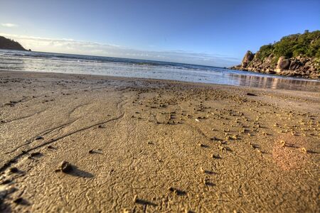 tropical beach in queenslandの写真素材