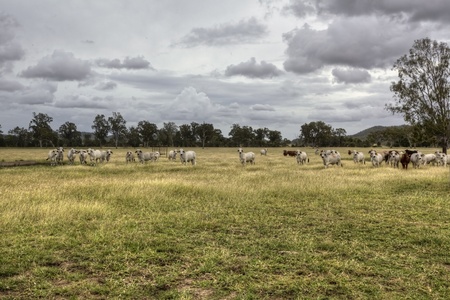Vast landscape in Australia