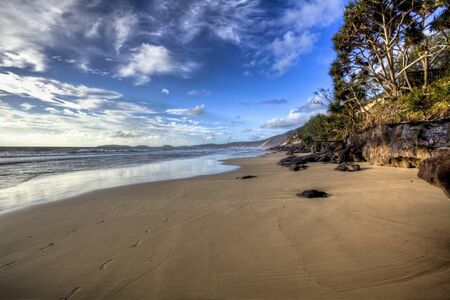 tropical beach in queenslandの写真素材