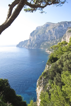 the beautiful Capri island in  Italy, Naplesの写真素材