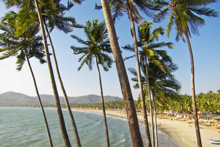 Tropical beach of Palolem, Goa, Indiaの写真素材