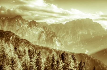 beautiful view of summer mountain landscape