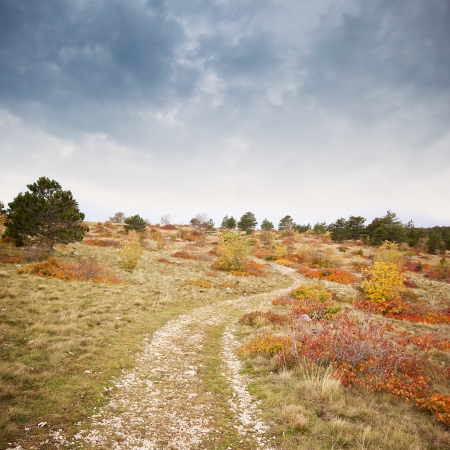 path in the kars woods in autumの写真素材