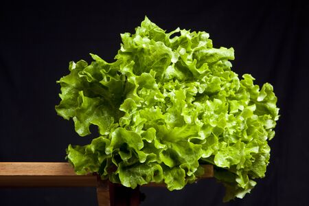 fresh green lettuce on wooden table on black backgroundの写真素材