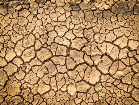 dry soil backgroundの写真素材