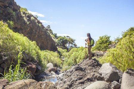 young woman hiking in tropical natureの写真素材