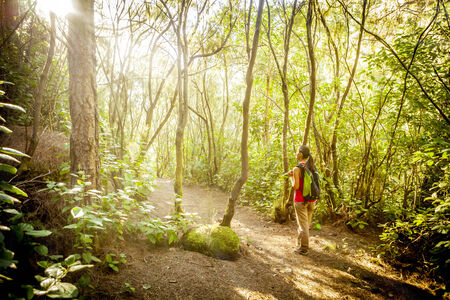 woman hiking in tropical forestの写真素材