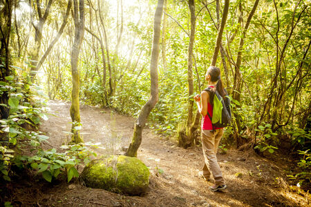 woman hiking in tropical forestの写真素材