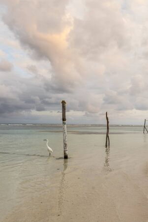 beautiful romantic sunset on the beach in the caribbean seaの写真素材
