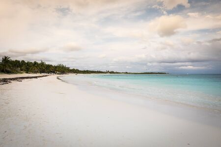 sunset on a white tropical beach in the caribbean seaの写真素材