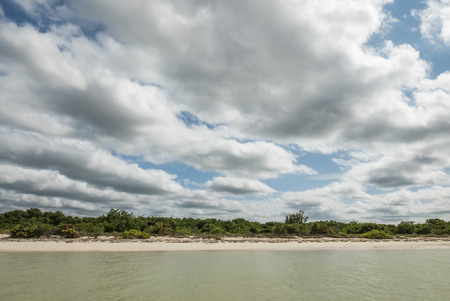 Celestun shore view from a boat. Yucatan Mexico