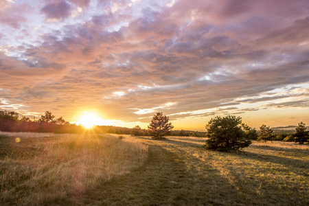Colorful sunset in the nature, karst countryside in Triesteの写真素材