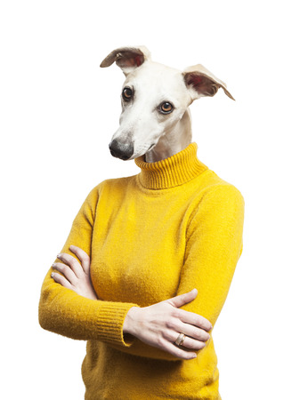 anthropomorphic dog portrait. woman body with grayhound's headの写真素材