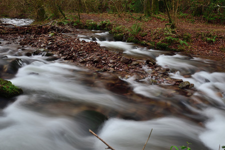 Long exposure of the river flowing through Horner woods in Somerset