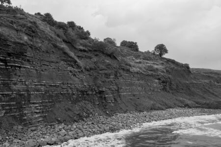 View of the blue lias cliff at Lyme Regis in Dorset which is famous for fossil hunting