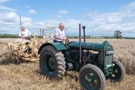 Haselbury Plucknett.Somerset.United Kingdom.August 18th 2019.An Albion driven by a restored vintage Fordson Major is harvesting a wheat crop at a yesterdays farming eventのeditorial素材