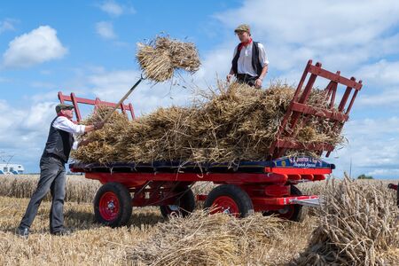 Haselbury Plucknett.Somerset.United Kingdom.August 18th 2019.People are loading bundles of wheat...