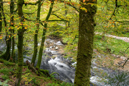 Long exposure of the river Barle flowing through the Barle Valley at Tarr Steps in Exmoor National...