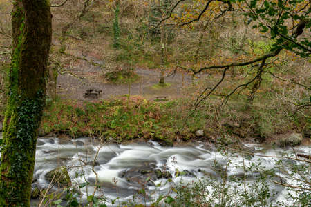 Long exposure of the East Lyn river flowing through the woods at Watersmeet in Exmoor National Park...