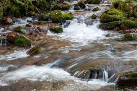 Long exposure of the Horner Water river flowing through Horner woods in Somerset