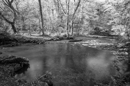 Long exposure of the Horner Water river flowing through Horner woods in Somerset