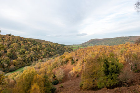 Landscape photo the autumn colours at Horner woods in Exmoor National Park