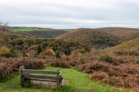 View from Webbers Post of the autumn colours at Horner woods in Exmoor National Park