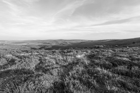 View of Porlock Common at the top of Porlock Hill in Exmoor National Parkの写真素材