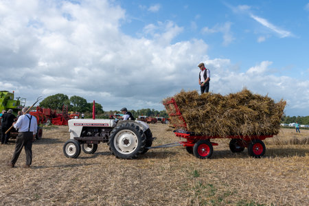 Drayton.Somerset.United kingdom.August 19th 2023.Entusiasts are loading bundles of straw onto a trailer being pulled by a David Brown Selectamatic 990のeditorial素材
