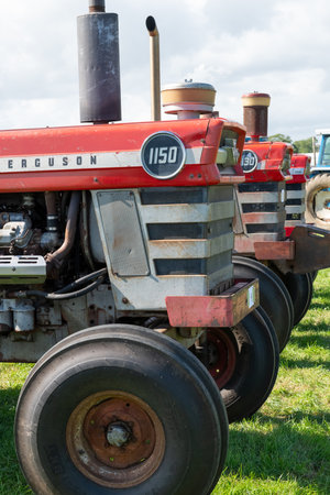 Drayton.Somerset.United kingdom.August 19th 2023.A row of classic Massey Ferguson tractors are on show at a Yesterdays Farming eventのeditorial素材