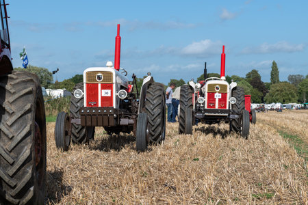 Drayton.Somerset.United kingdom.August 19th 2023.A restored David Brown Selectamatic 990 and 880 are on show at a Yesterdays Farming eventのeditorial素材