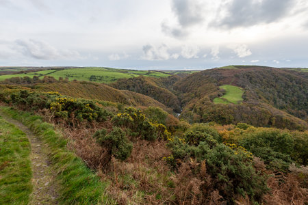 View from the top of Countisbury Hill of the autumn colours at Watersmeet Valley in Exmoor National...
