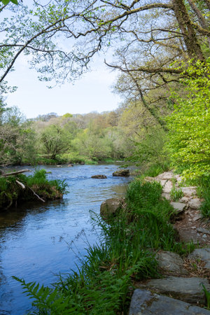 Landscape photo of the river Barle flowing through the woods at Tarr Steps in Exmoor National Park