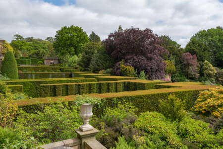 Biddulph.Staffordshire.United Kingdom.June 1st 2023.Photo of Biddulph Grange gardenの写真素材