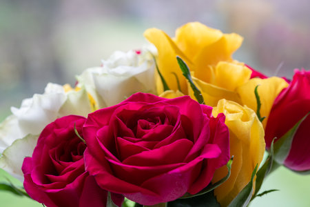 Close up of a boquet of rosesの写真素材