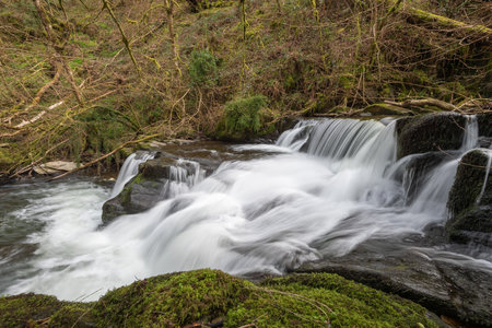 Long exposure of a waterfall on the Hoar Oak Water river at Watersmeet in Exmoor National Parkの写真素材