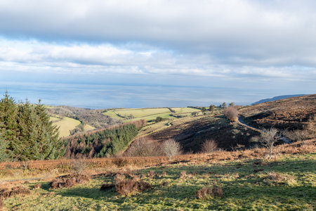 Porlock Common at the top of Porlock Hill in Exmoor National Parkの写真素材
