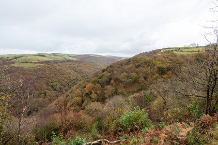 Landscape photo of the autumn colours at Countisbury Hill and Watersmeet Valley in Exmmor National...