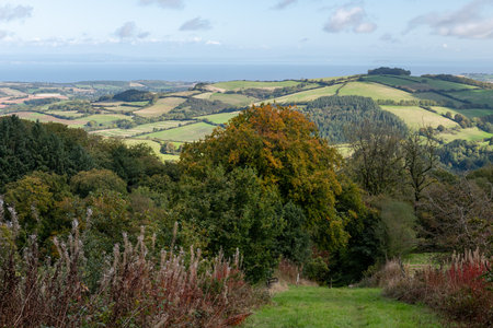 View from the top of the Incline of the Brendon hills in Exmoor National Parkの写真素材