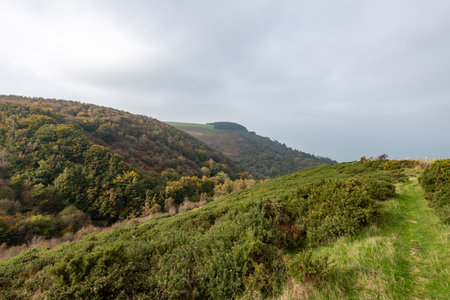 Photo of the autumn colours at Glenthorne in Exmoor National Park
