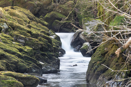 Long exposure of a waterfall on the East Lyn river flowing through the woods at Watersmeet in Exmoor National Parkの写真素材