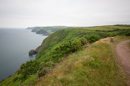 View from the South West Coastpath of the North Devon coastline at Woody Bayの写真素材