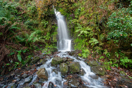 Long exposure of the Hollowbrook waterfall on the South West Coastpath from Woody Bay to Heddons...