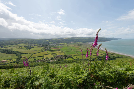 View from Bossington hill in Exmoor National Parkの写真素材