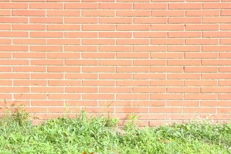 brick wallの写真素材