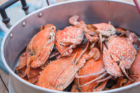 Crab in Steamerの写真素材