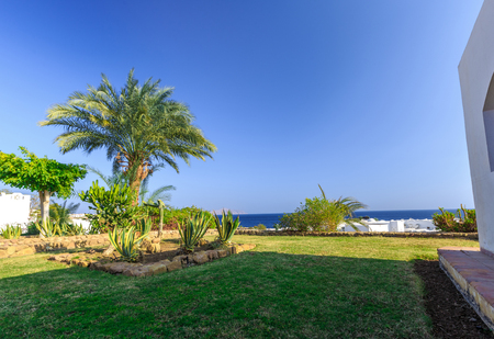Tropical holiday resort set in neat manicured lawns with ornamental shrubs bordering on a small road, Egyptの写真素材