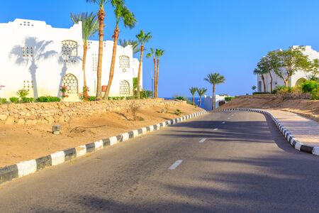 The view to road and palm trees near the buildings of hotels territory in Egyptの写真素材