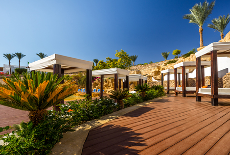 Several of luxury loungers. Exotic vacation by the hotel pool in bright sunshine, Egypt.の写真素材
