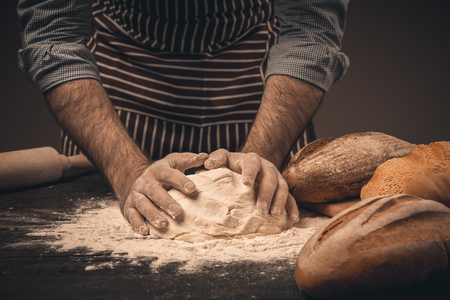 Male hands knead the dough. Chef cooking bread and bunの写真素材